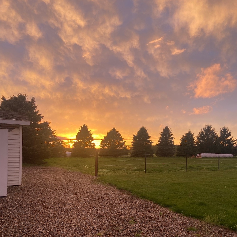 Ivy Meadows Farm and Friends images